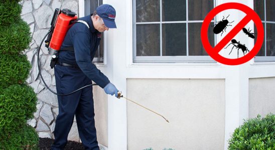 Akşehir Böcek ve Haşere İlaçlama böcek ilaçlama ve haşere kontrolü — ilaclama-tr.com